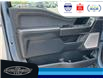 2023 Ford F-150 Tremor (Stk: SPFF00460A) in Leamington - Image 23 of 38