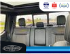 2023 Ford F-150 Tremor (Stk: SPFF00460A) in Leamington - Image 36 of 38