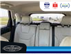 2019 Ford Edge Titanium (Stk: SP00200T) in Leamington - Image 32 of 34