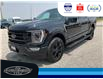 2023 Ford F-150 Platinum (Stk: SPFF00457A) in Leamington - Image 10 of 38