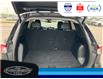 2022 Ford Escape SEL (Stk: SPLFBS00580A) in Leamington - Image 12 of 33
