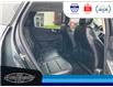 2022 Ford Escape SEL (Stk: SPLFBS00580A) in Leamington - Image 15 of 33
