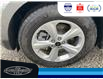 2024 Ford Edge SE (Stk: SP00201T) in Leamington - Image 11 of 30