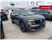 2025 Nissan Kicks SR Premium (Stk: S0084) in Chatham - Image 6 of 16