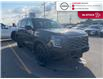 2025 Nissan Armada PRO-4X (Stk: S0199) in Chatham - Image 3 of 23