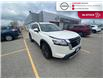2023 Nissan Pathfinder SL (Stk: 1N932A) in Chatham - Image 3 of 23