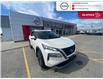 2023 Nissan Rogue SV Moonroof (Stk: TS0191A) in Chatham - Image 3 of 20