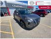 2025 Nissan Rogue SV Moonroof (Stk: S0241) in Chatham - Image 3 of 21