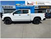 2025 Chevrolet Silverado 1500 LT Trail Boss (Stk: S174) in Blenheim - Image 1 of 12
