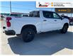 2025 Chevrolet Silverado 1500 LT Trail Boss (Stk: S174) in Blenheim - Image 4 of 12