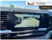 2025 Chevrolet Silverado 1500 LT Trail Boss (Stk: S174) in Blenheim - Image 10 of 12
