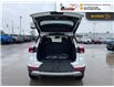 2025 Chevrolet TrailBlazer LT (Stk: TS290) in Blenheim - Image 5 of 13