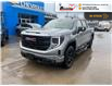 2025 GMC Sierra 1500 Elevation (Stk: S221) in Blenheim - Image 1 of 35