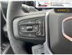 2025 GMC Sierra 1500 Elevation (Stk: S221) in Blenheim - Image 20 of 35