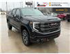 2025 GMC Sierra 1500 AT4 (Stk: S295) in Blenheim - Image 3 of 33