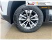 2025 Chevrolet Equinox LT (Stk: S215) in Blenheim - Image 10 of 32