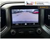 2020 Chevrolet Silverado 1500 LT Trail Boss (Stk: S201A) in Blenheim - Image 18 of 30