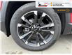 2025 Chevrolet Equinox RS (Stk: TS323) in Blenheim - Image 10 of 26