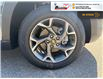 2025 Chevrolet Trax LT (Stk: TS353) in Blenheim - Image 10 of 25