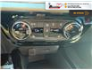2025 Chevrolet Trax LT (Stk: TS353) in Blenheim - Image 22 of 25