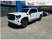 2025 GMC Sierra 1500 AT4 (Stk: S343) in Blenheim - Image 1 of 35