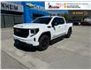 2025 GMC Sierra 1500 Elevation (Stk: TS355) in Blenheim - Image 1 of 31