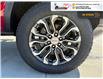 2025 GMC Canyon Denali (Stk: S357) in Blenheim - Image 11 of 33