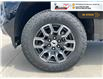 2025 Chevrolet Colorado Z71 (Stk: TS354) in Blenheim - Image 11 of 33