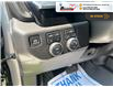 2025 Chevrolet Silverado 1500 LT (Stk: S380) in Blenheim - Image 17 of 33