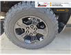 2017 Chevrolet Silverado 1500 1LZ (Stk: 5B041A) in Blenheim - Image 11 of 21