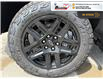 2025 Chevrolet Silverado 1500 LT Trail Boss (Stk: S410) in Blenheim - Image 10 of 32