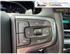 2025 Chevrolet Silverado 1500 LT Trail Boss (Stk: S410) in Blenheim - Image 20 of 32