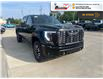 2025 GMC Sierra 2500HD Denali Ultimate (Stk: S377) in Blenheim - Image 11 of 42