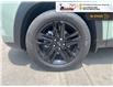 2025 Chevrolet Trax ACTIV (Stk: TS375) in Blenheim - Image 10 of 28