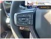2025 Chevrolet Silverado 2500HD High Country (Stk: S429) in Blenheim - Image 22 of 40