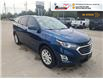2020 Chevrolet Equinox LT (Stk: TS391A) in Blenheim - Image 10 of 16