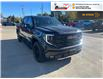 2026 GMC Sierra 1500 Elevation (Stk: T032) in Blenheim - Image 8 of 32