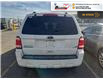 2011 Ford Escape XLT Automatic (Stk: TS529B) in Blenheim - Image 5 of 10