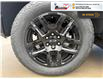 2026 Chevrolet Silverado 1500 LT Trail Boss (Stk: TT097) in Blenheim - Image 12 of 30
