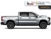 2026 Chevrolet Silverado 1500 LT Trail Boss (Stk: T154) in Blenheim - Image 3 of 6