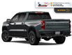 2026 Chevrolet Silverado 1500 LT Trail Boss (Stk: T160) in Blenheim - Image 2 of 6