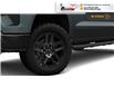 2026 Chevrolet Silverado 1500 LT Trail Boss (Stk: T160) in Blenheim - Image 4 of 6