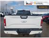 2015 Ford F-150 XLT (Stk: 5B089B) in Blenheim - Image 6 of 20