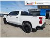 2024 Chevrolet Silverado 1500 Custom Trail Boss (Stk: 6C010A) in Blenheim - Image 6 of 18 2024 Chevrolet Silverado 1500 Custom Trail Boss (Stk: 6C010A) in Blenheim - Image 6 of 18