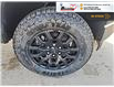 2026 Chevrolet Colorado Trail Boss (Stk: TT231) in Blenheim - Image 11 of 22