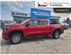 2023 GMC Sierra 1500 AT4 (Stk: 6C011A) in Blenheim - Image 1 of 20