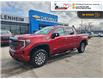 2023 GMC Sierra 1500 AT4 (Stk: 6C011A) in Blenheim - Image 2 of 20