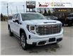 2026 GMC Sierra 1500 Denali (Stk: T157) in Blenheim - Image 9 of 42