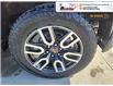 2024 GMC Sierra 1500 AT4 (Stk: TT275A) in Blenheim - Image 12 of 20