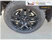 2021 Chevrolet Silverado 1500 LT Trail Boss (Stk: TT192A) in Blenheim - Image 11 of 17